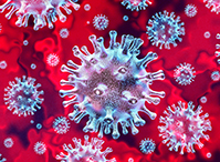 Image of the Coronavirus